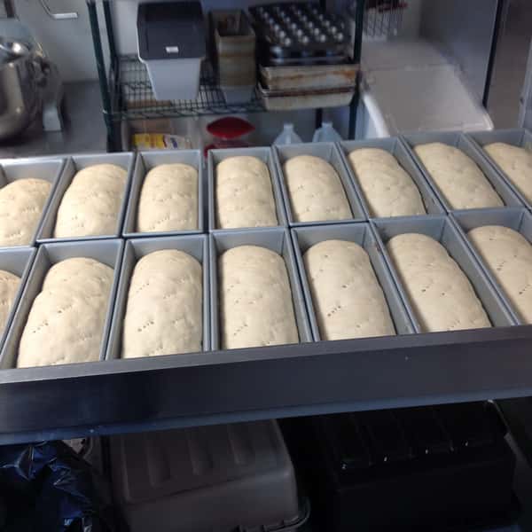Multiple loaf pans filled with light-colored unbaked bread dough in the Sunflower Bakery Café kitchen.