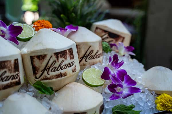 coconuts