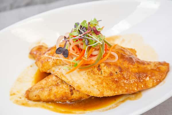 "South Padre Island" Red Snapper Filet