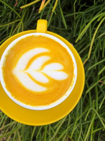 LATTE TURMERIC 12 Oz