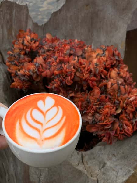 LATTE BEET 12 Oz