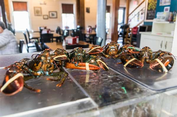 Gallery Lobster Cooker and Pub Seafood Restaurant in Freeport, ME