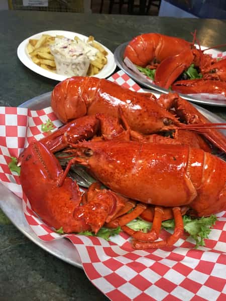 Steamed Maine Lobster