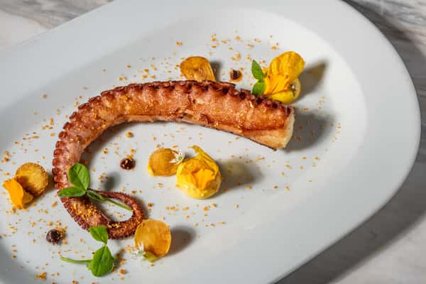 Octopus