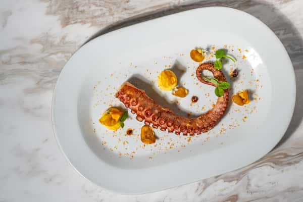 Octopus