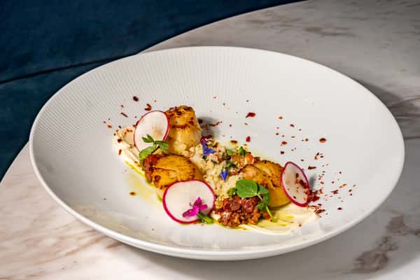 Scallops