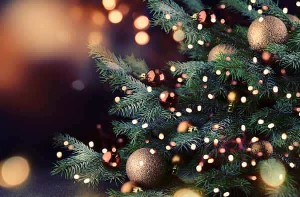 Christmas Tree Info