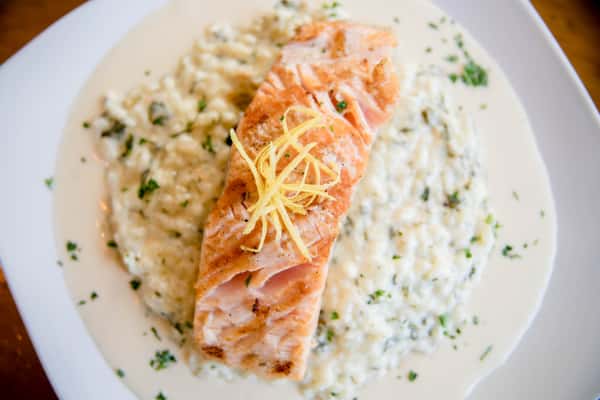 salmon