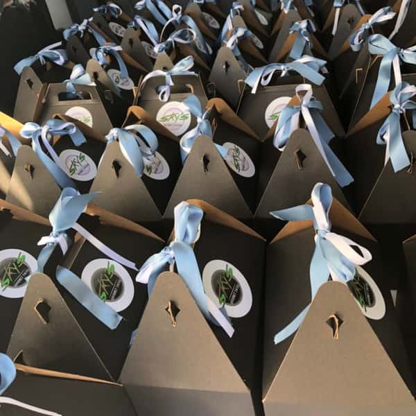 Catering boxes