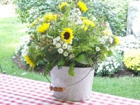 flowers