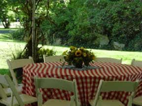 table outside with flowers in the middle