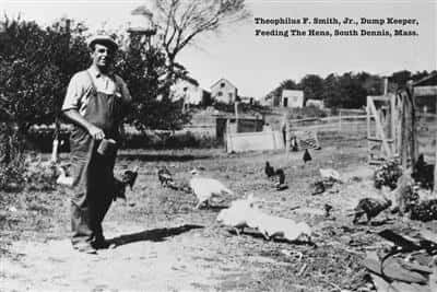 Theophilus F. Smith Jr, Dump Keeper, Feeding the Hens, South Dennis, MA