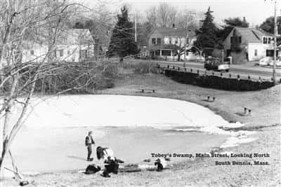 Tobey's Swamp, Main Street looking North, South Dennis, MA
