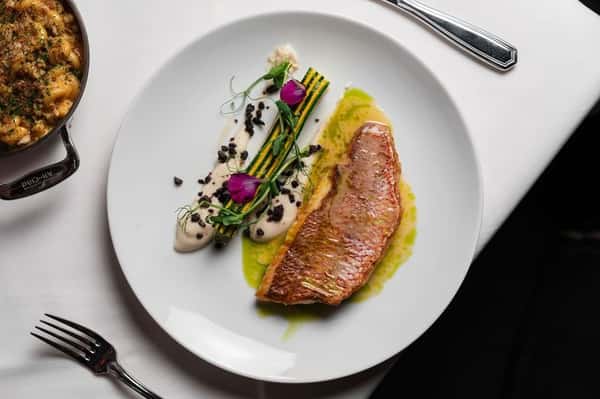 Red Snapper