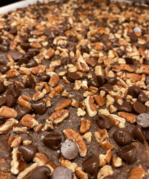 Chocolate Chip Pecan Brownie