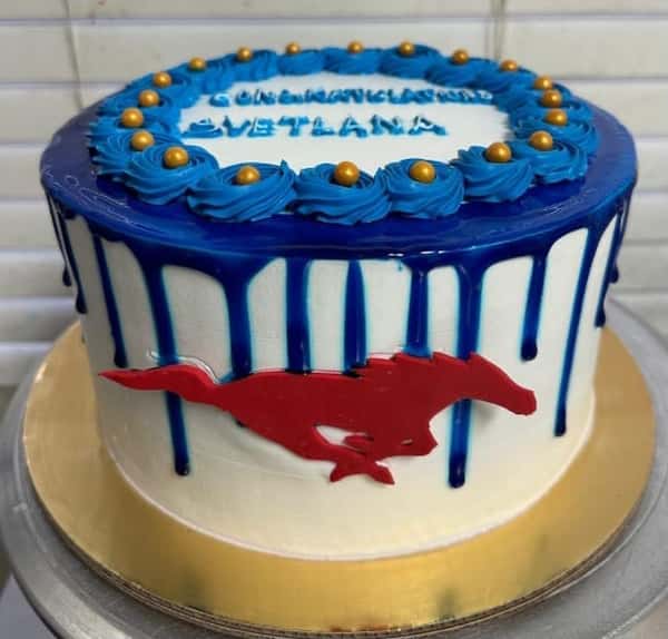 horse theme cake from Chennai Cafe