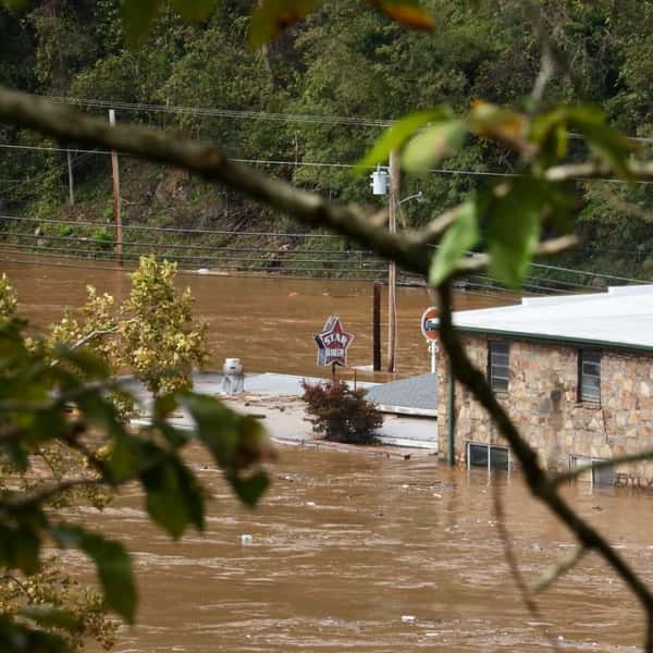 Flood waters surround a building with a 'STAR DINER' sign, viewed through tree branches. The scene depicts the aftermath of severe flooding.