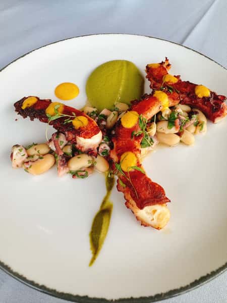 Mediterranean Octopus