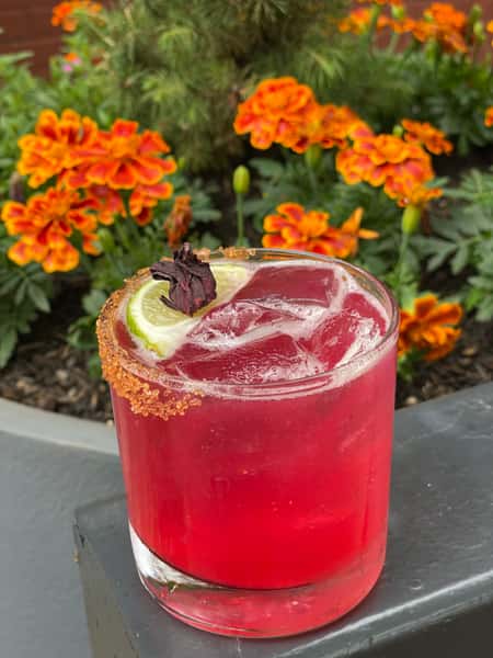 Hibiscus Margarita