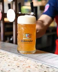 LARGE Stein