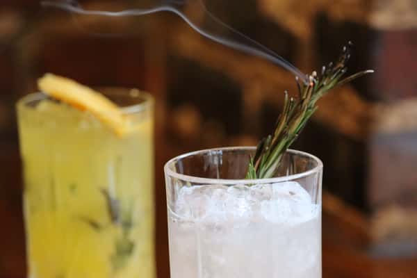 gin cocktail with rosemary garnish and citrus served in highball glass