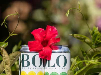 Flower atop of two cans of BOLO