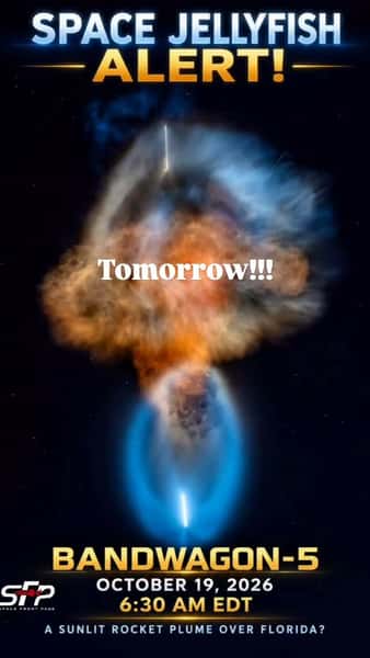 @beachcomberstaugustine won’t be open quite yet, but there may be awesome views from #staugustinebeach !!! We love sharing awesome events and want to see your pics tomorrow as well! #spacex #spacexlaunch #staugustinefl #stauglocals