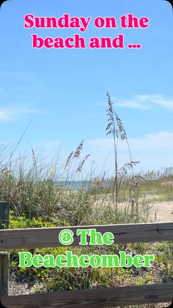 Beautiful Sunday to finish your #weekend (if it has to end)! Awesome #cocktails from Robbie and Canonto pair up with some #shrimp or #fishtacos -bring the #beachdogs too!!!
🦜☀️🌴🦜
