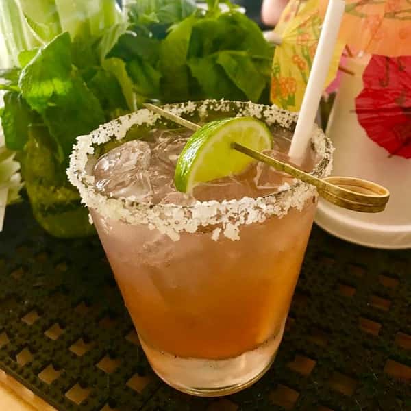 Comber Paloma