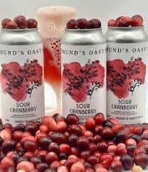 Rotating: Edmund Oast Brewing Co. Charleston, SC