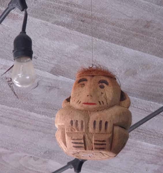 coconut monkey