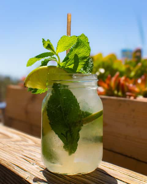 Mojito