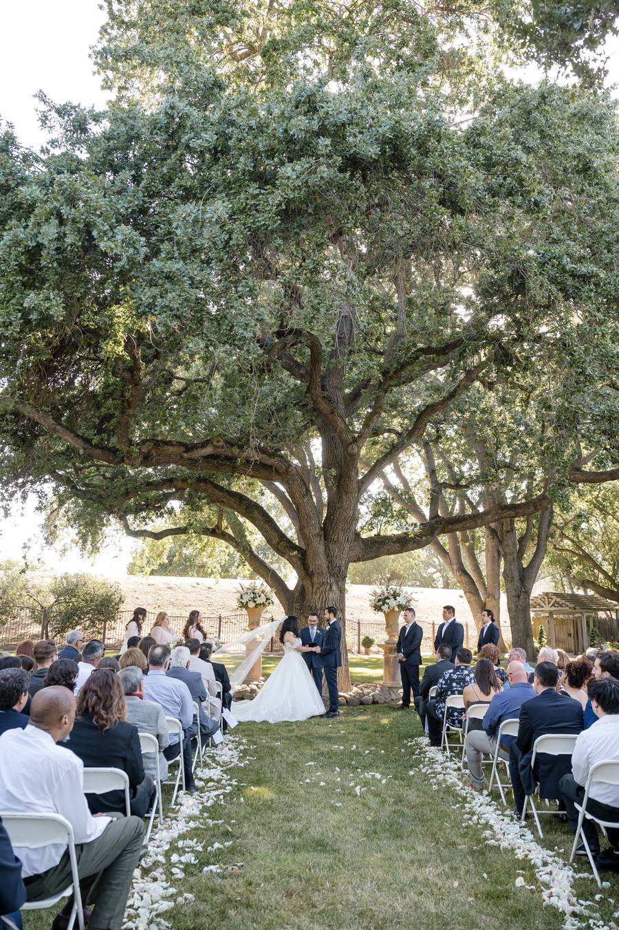 Ceremony site set on the back side of the oaks