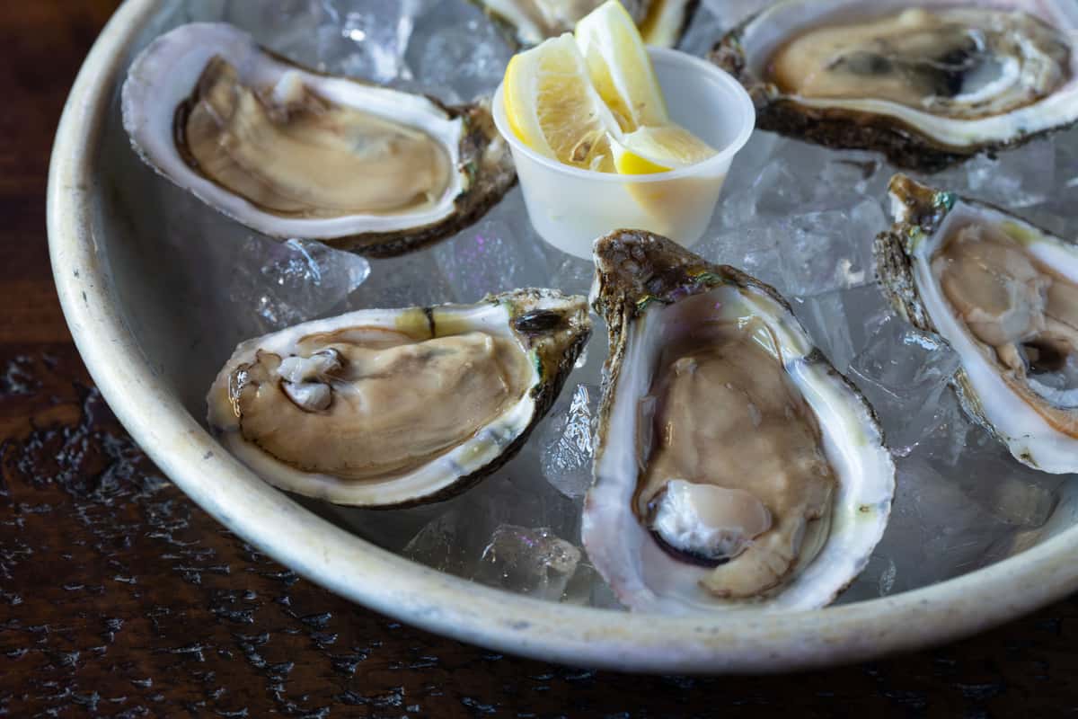 Oyster on the Half Shell