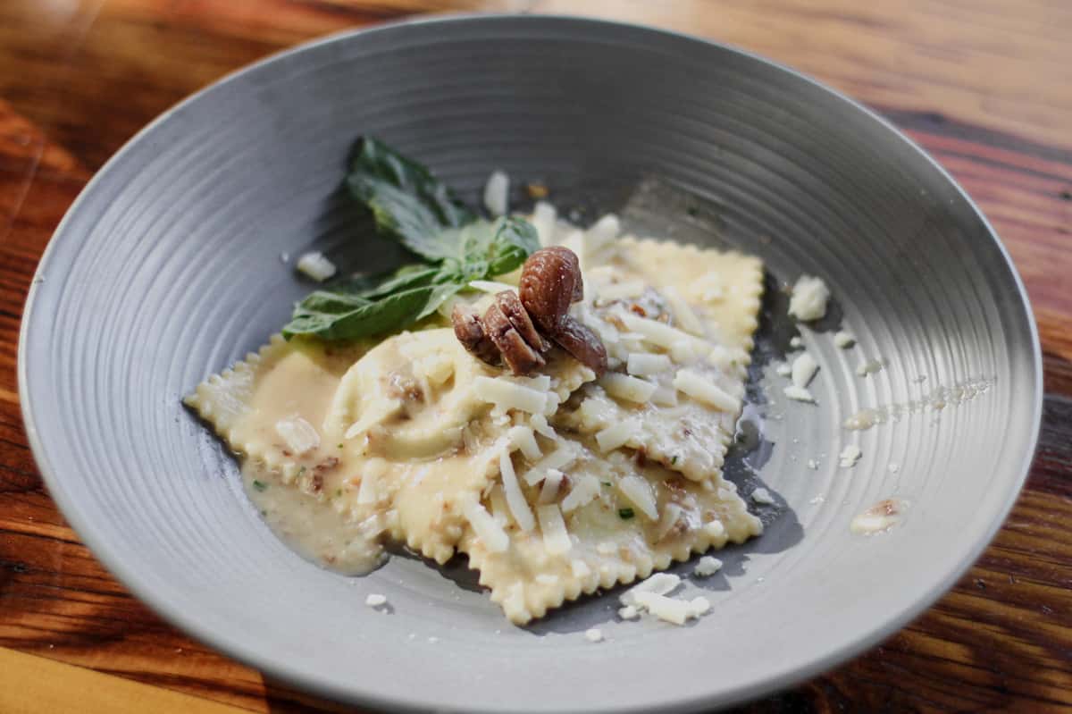 Chestnut Tortellacci