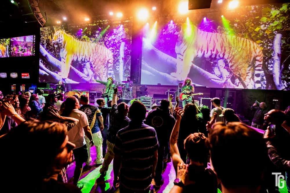 the PIAZZA Live - Concert