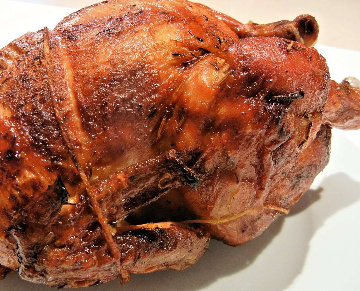 chicken