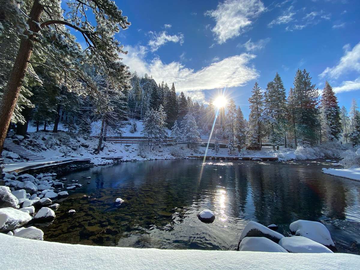 Pond Winter