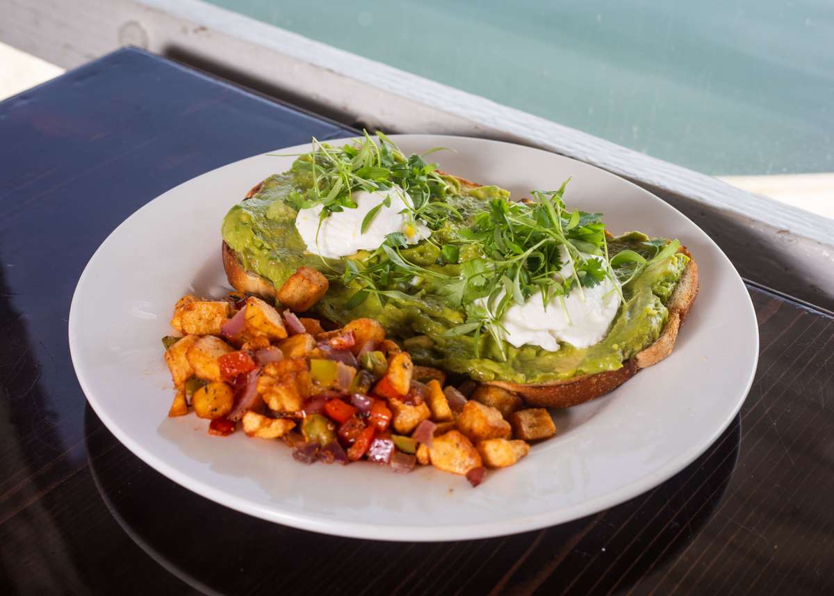 AVOCADO TOAST & EGG