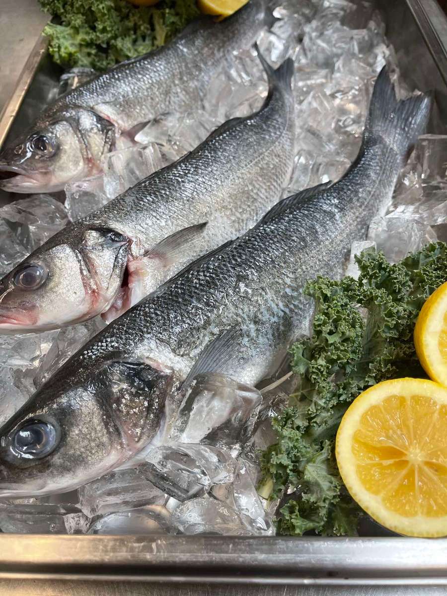 Whole Bronzini Menu Christie s Seafood Steaks Seafood 
