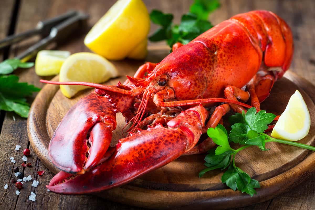 New Year's Special Event : Cooked Lobster Dinner!