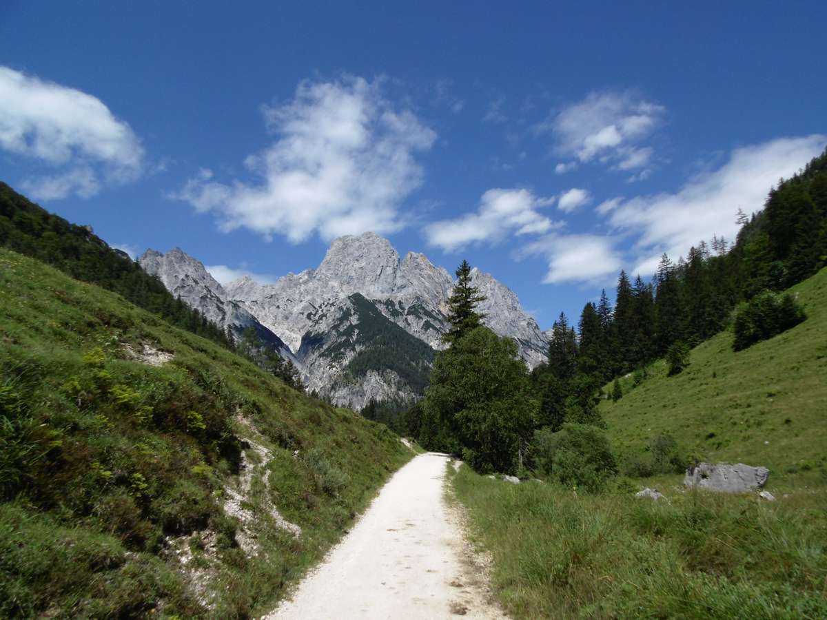 Path