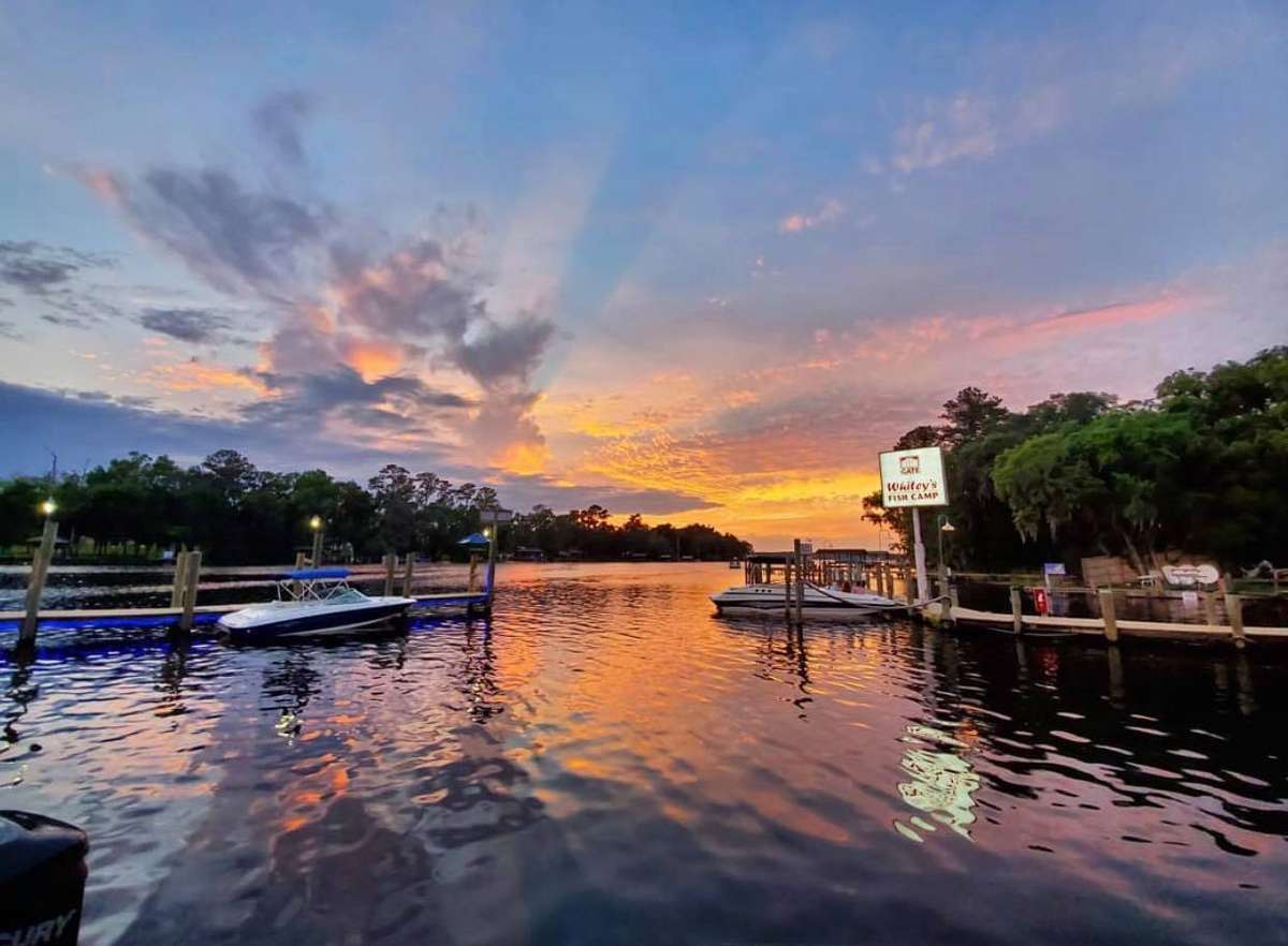 Whitey's Fish Camp - Seafood Restaurant in Fleming Island, FL