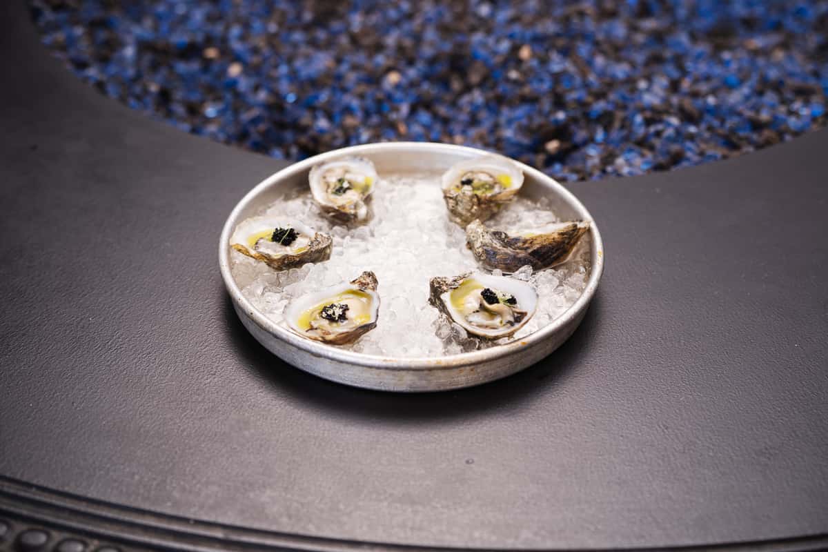 Oysters on the Half Shell