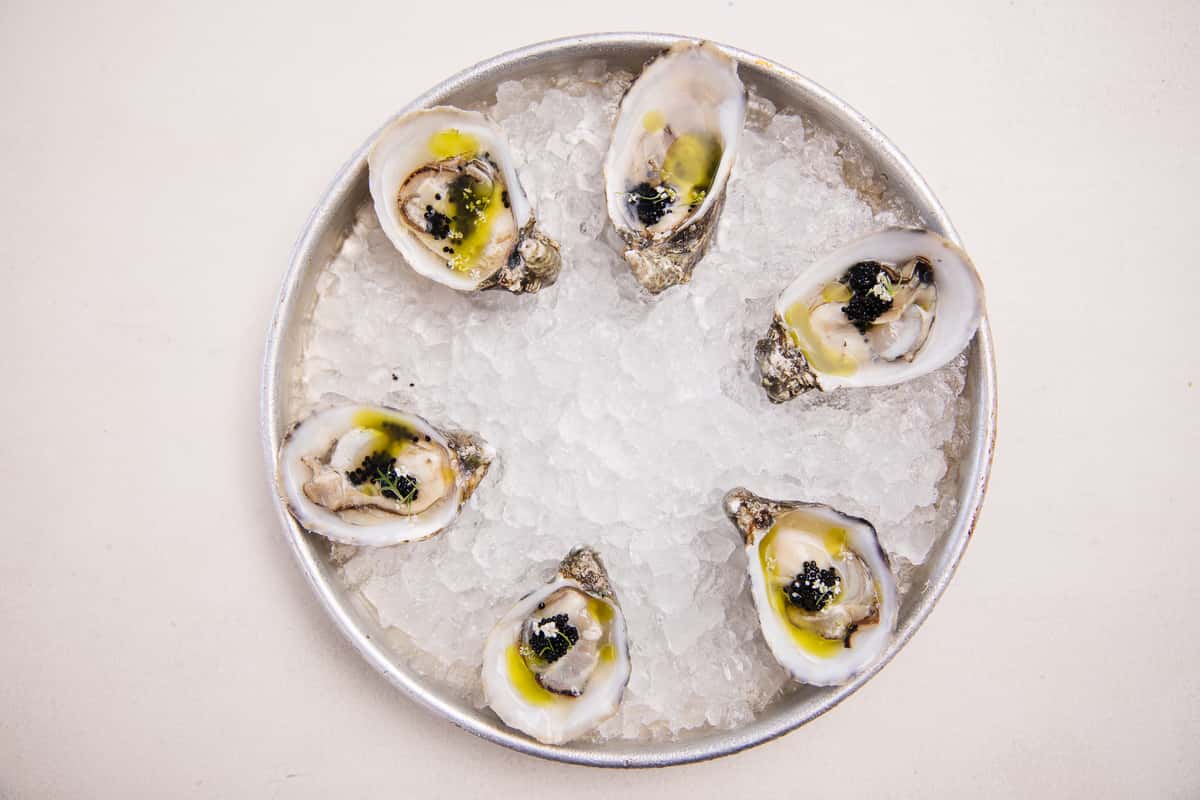 oysters