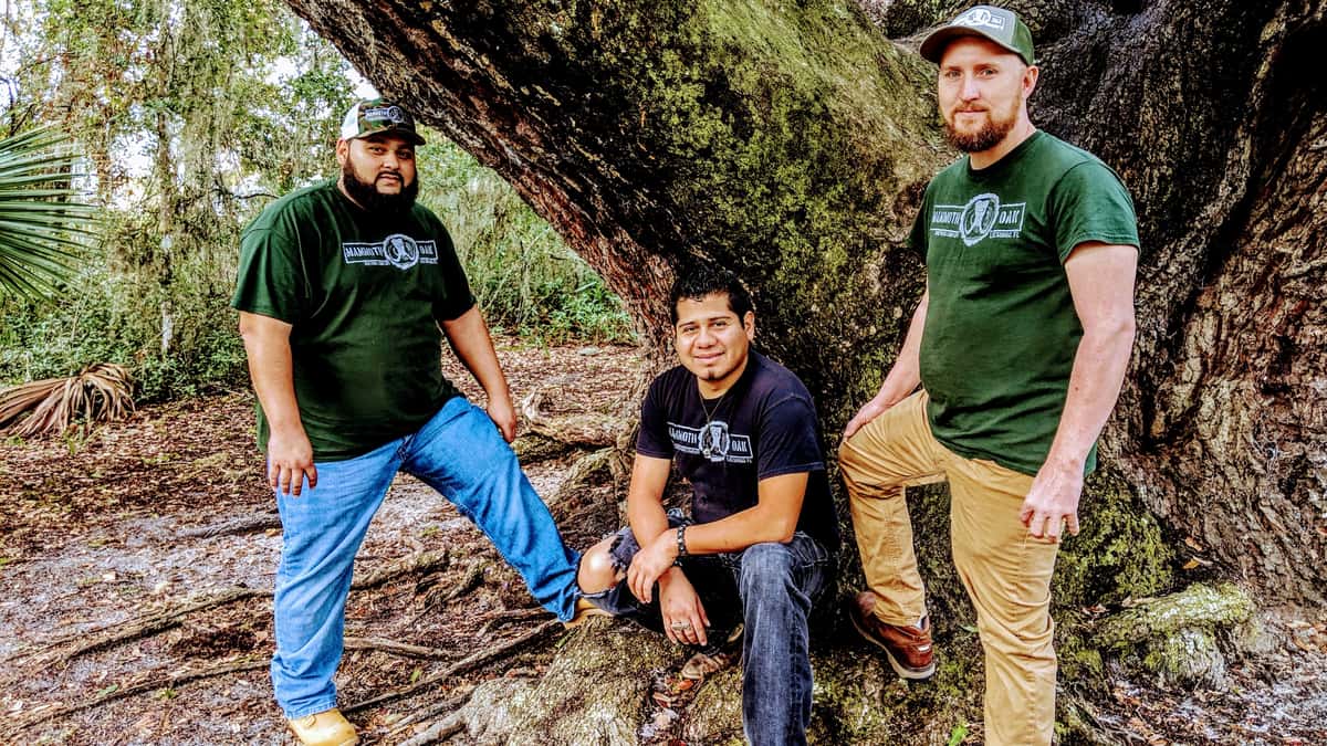meet the team
