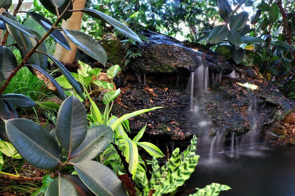 Contact - Terra Terroir