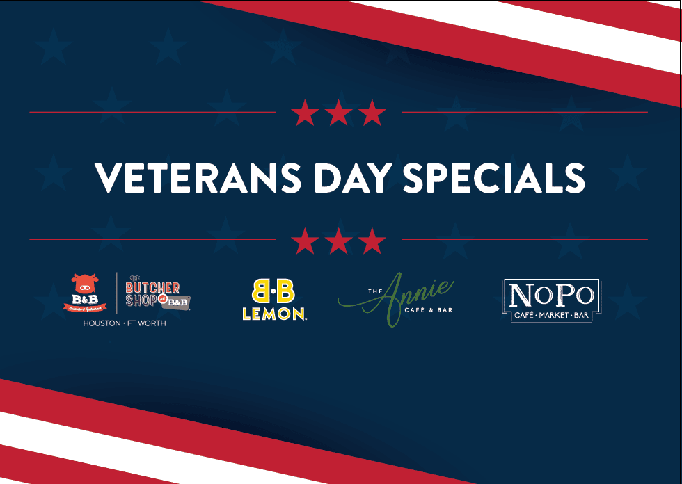veterans day special logo