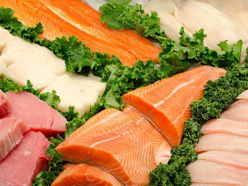 raw fish filets