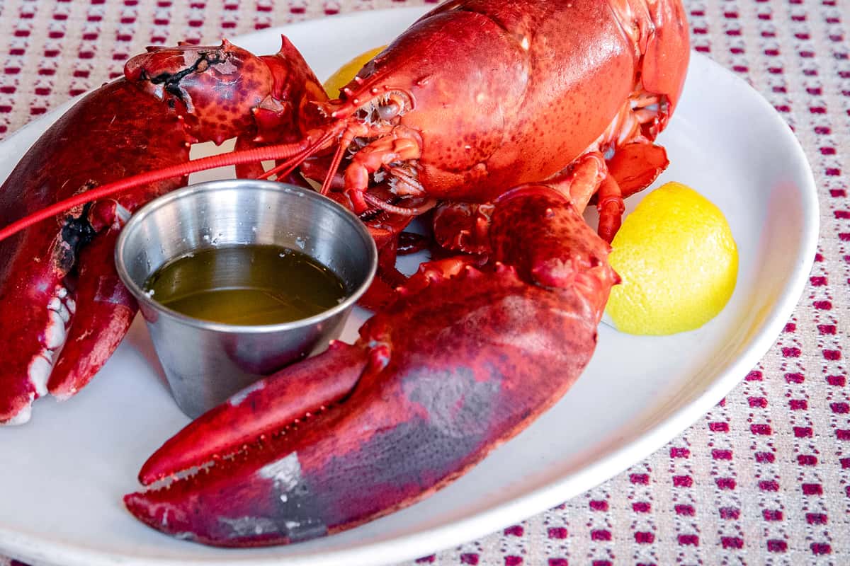 1 1/2 lobster Dinner - Turner's Seafood - Restaurant and Fresh